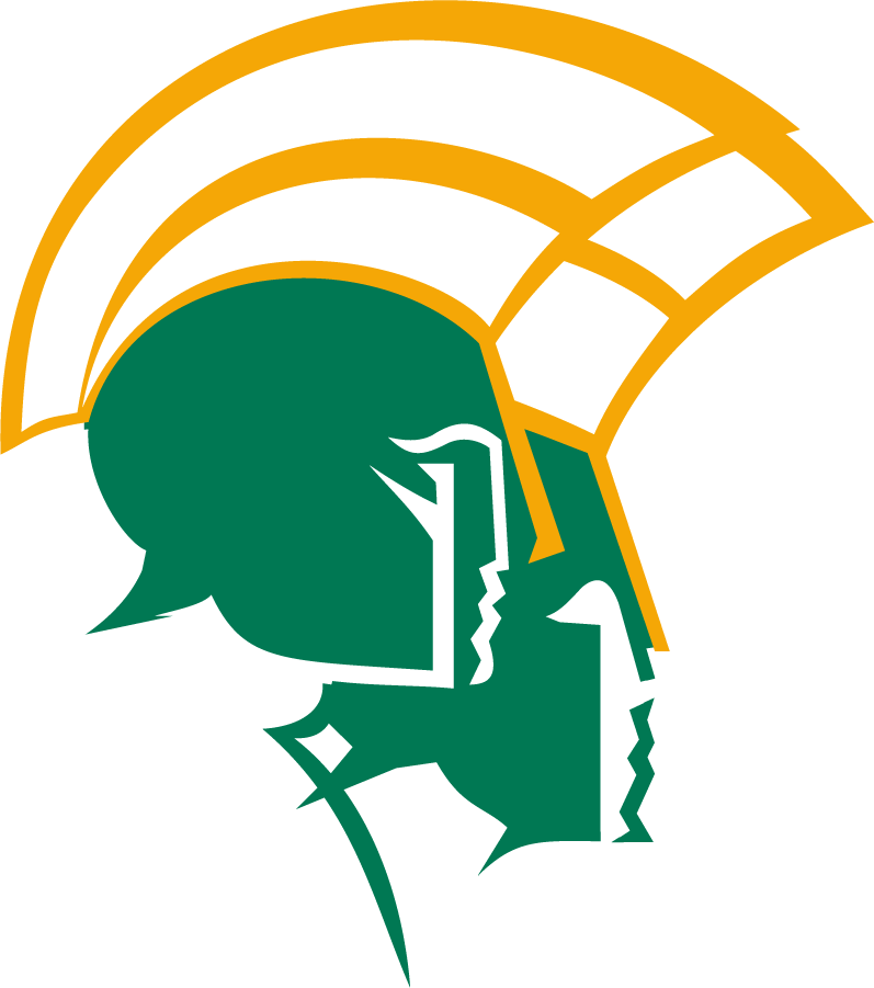 Norfolk State Spartans 1999-Pres Secondary Logo iron on transfers for clothing